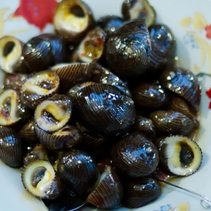 Hình ảnh ỐC NGỰA ME