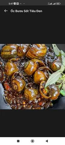 Hình ảnh ỐC BƯƠU XÀO BƠ XẢ CAY