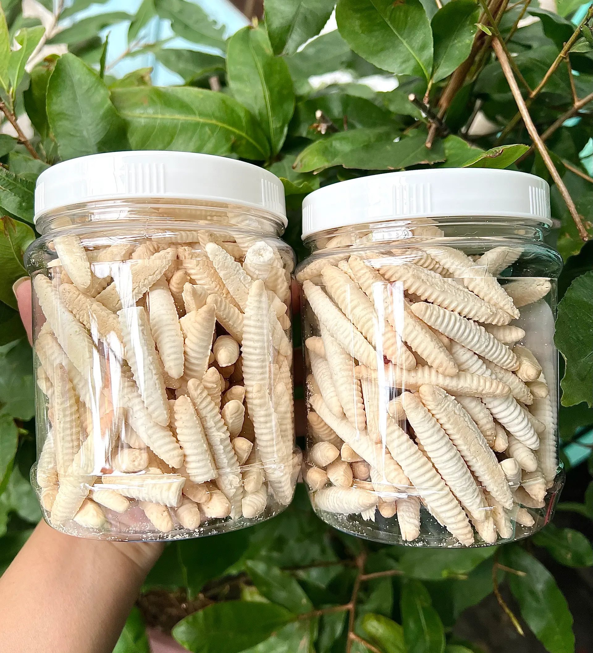 Hình ảnh Bánh đuông loại ngon 250g