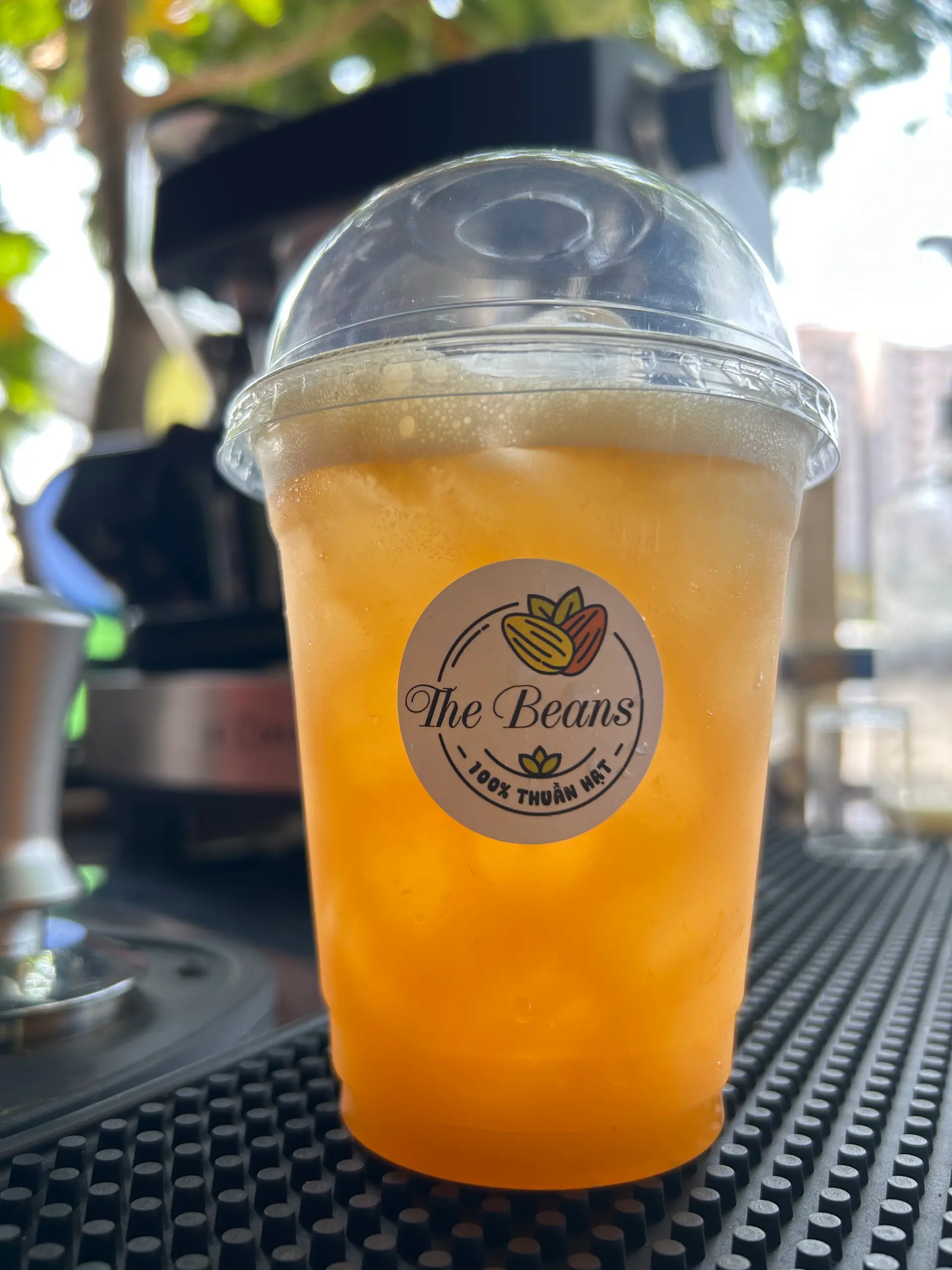 Hình ảnh Cam tươi vắt