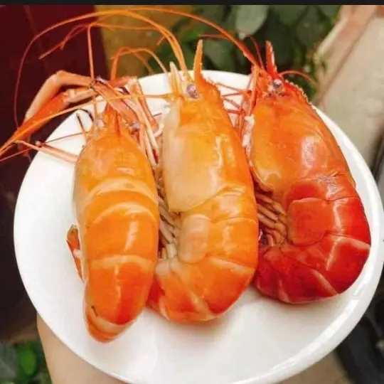 Hình ảnh TÔM CÀNG XANH 1KG HẤP GỪNG