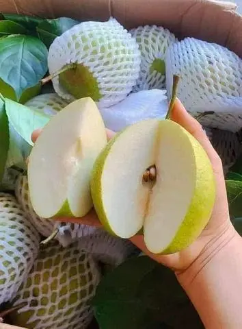 Hình ảnh Khay lê đường ngọt mát