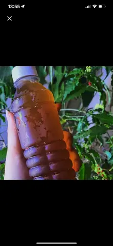 Hình ảnh Sâm Lục vị 