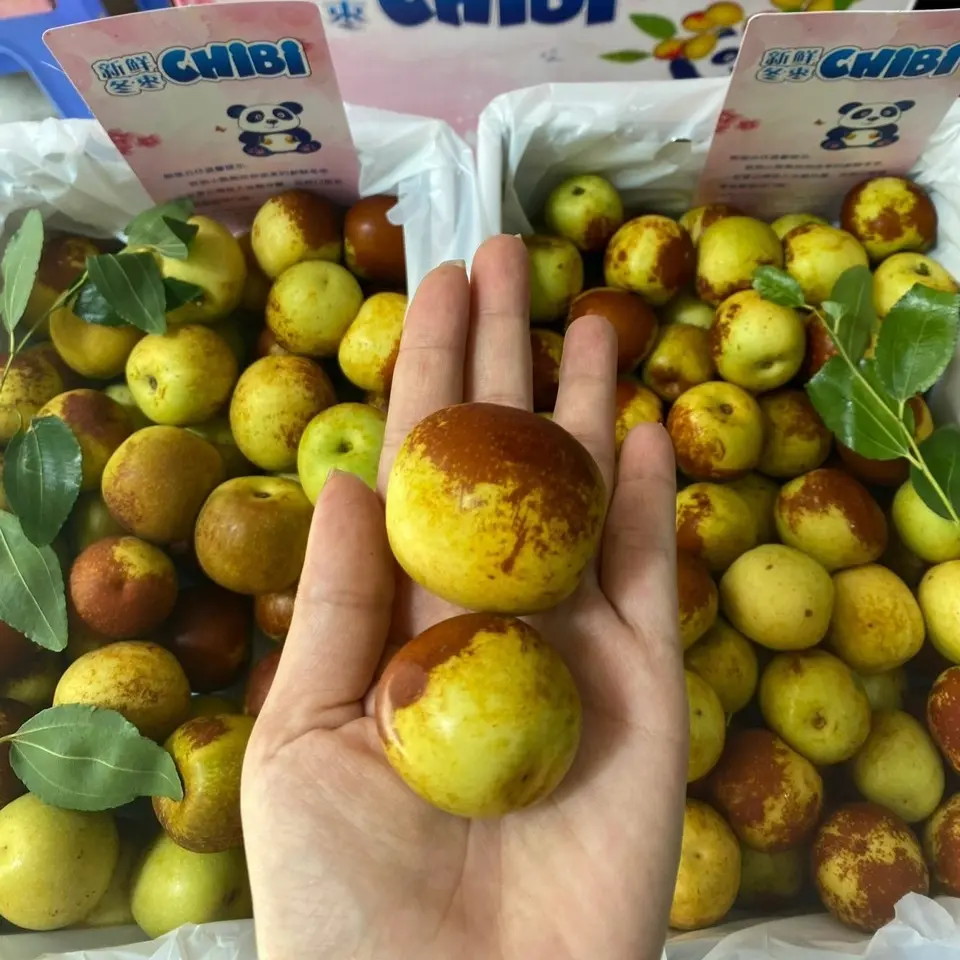 Hình ảnh Hồng Táo  Giòn Ngọt-500gr 