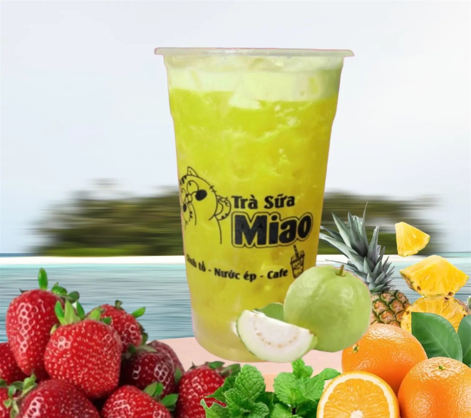 Hình ảnh Nước Ép Ổi