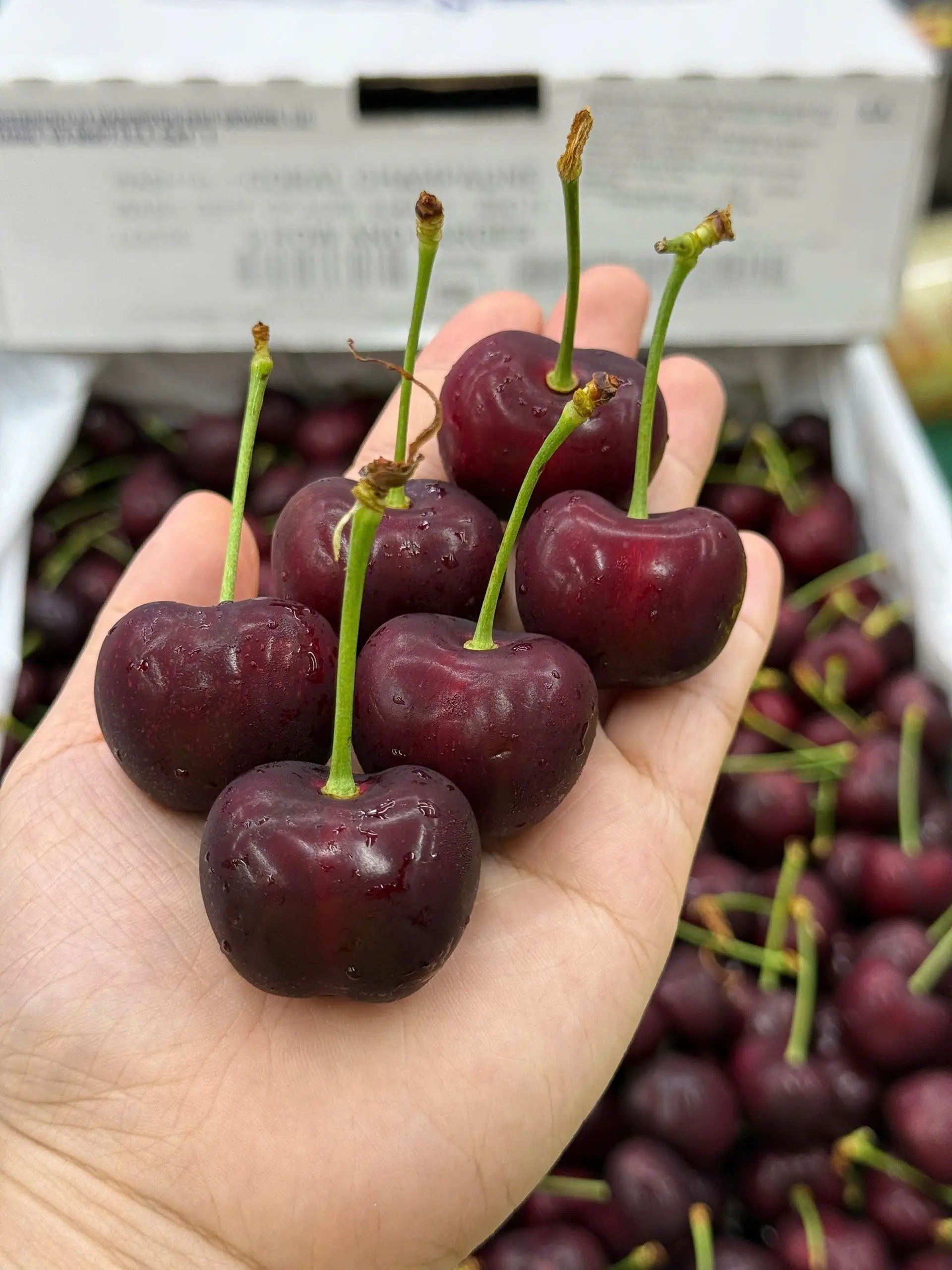 Hình ảnh Cherry Mỹ (size to 8.5) hộp 200G