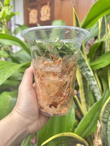 Hình ảnh bánh tráng bơ muối tép