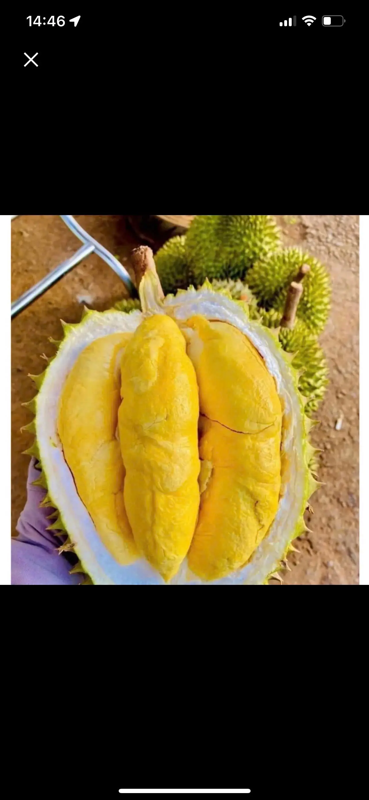 Hình ảnh sầu riêng thêm