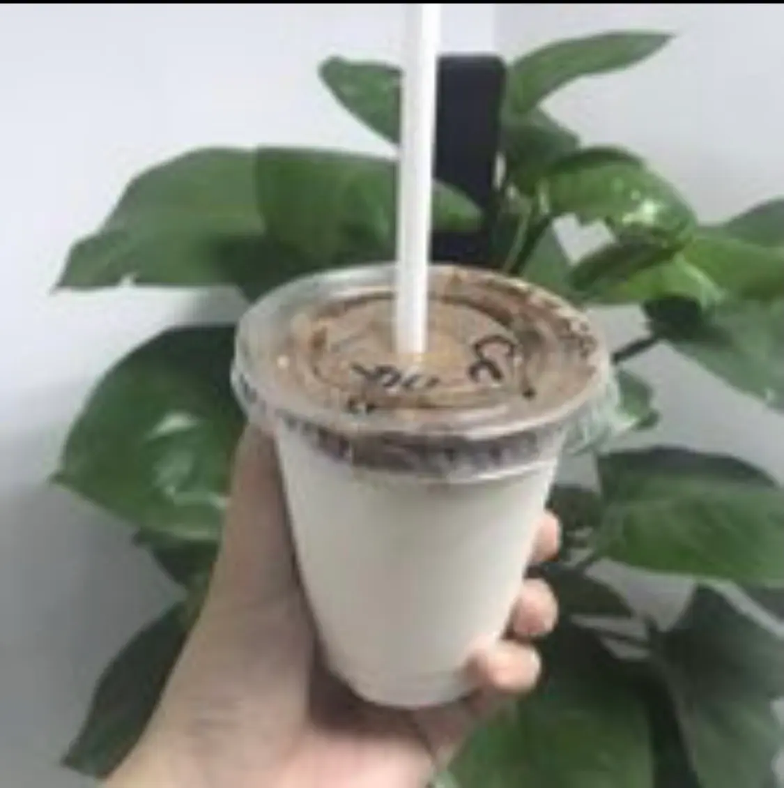 Hình ảnh Cacao dừa