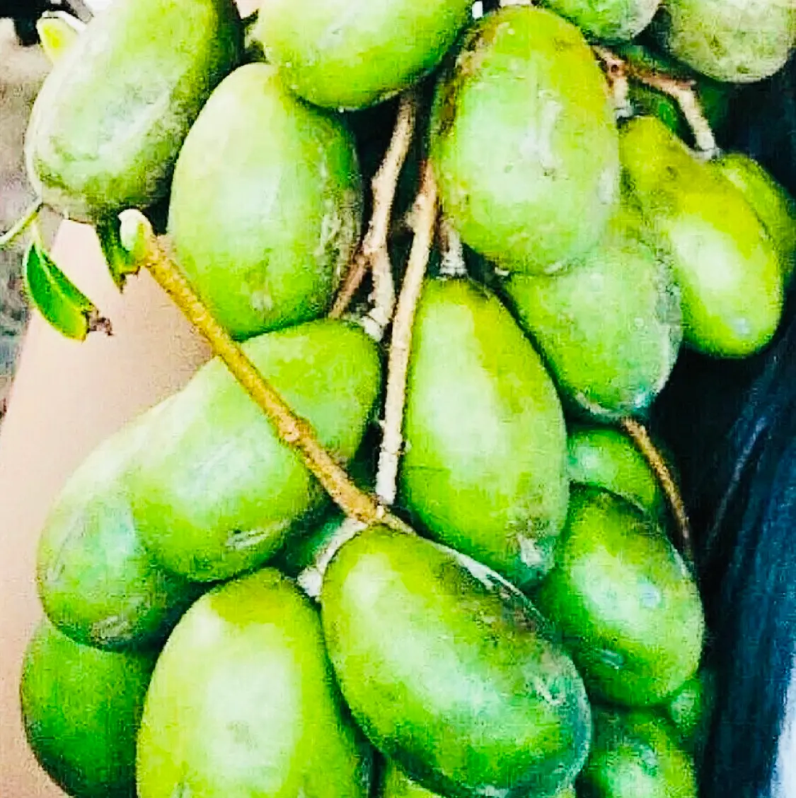 Hình ảnh Nước ép cóc