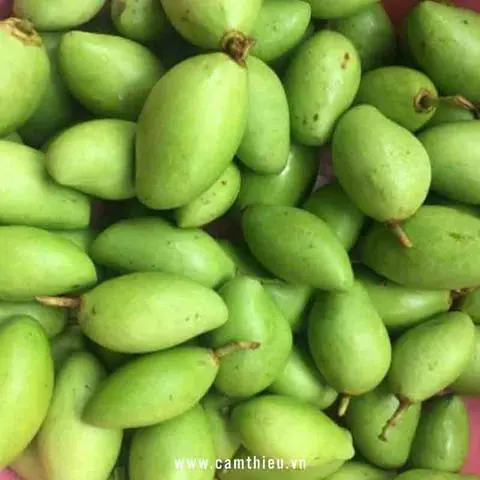 Hình ảnh xoài non 0,5kg
