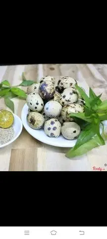 Hình ảnh cút lộn luộc 