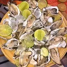 Hình ảnh HÀO SỐNG SÔT THÁI