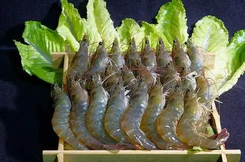 Hình ảnh Tôm tươi thêm