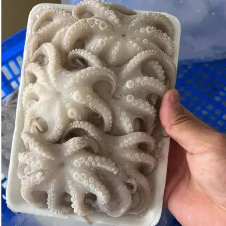 Hình ảnh 100g bạch tuộc