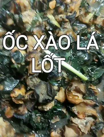 Hình ảnh ỐC XÀO LÁ LỐT