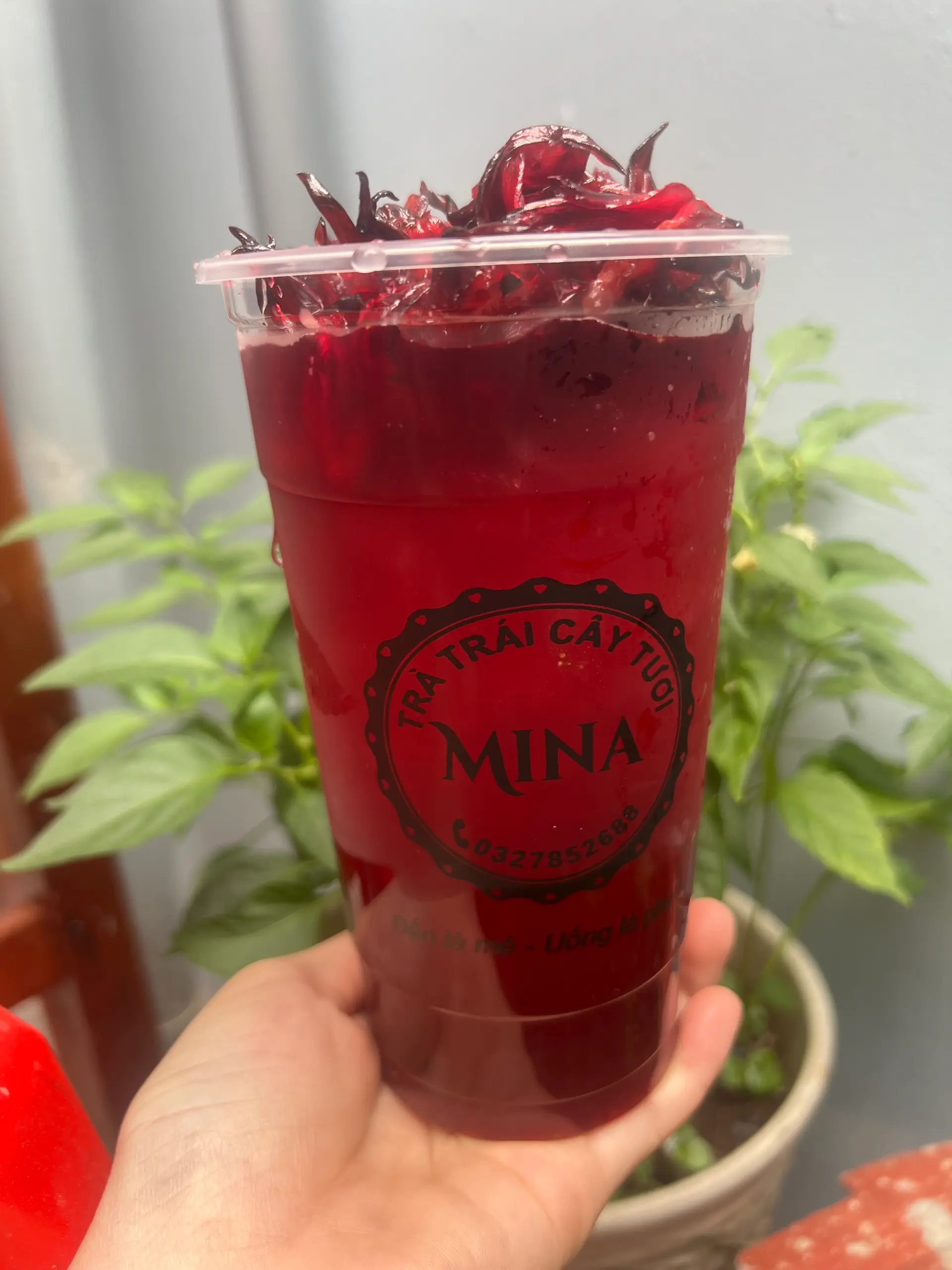 Hình ảnh Trà Atiso Chua Ngọt