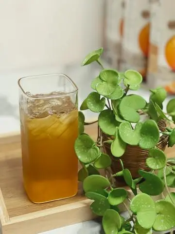 Hình ảnh Lục Trà Sủi Bọt
