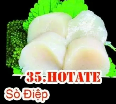 Hình ảnh 35 hotate