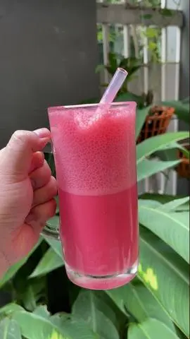 Hình ảnh Sting sữa tươi 