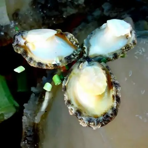 Hình ảnh Bào Ngư