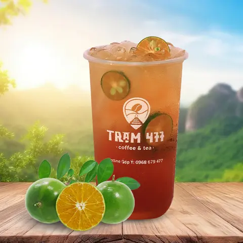 Hình ảnh Trà Tắc