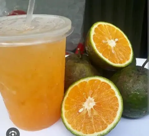 Hình ảnh Nước Cam Ly Khổng Lồ 