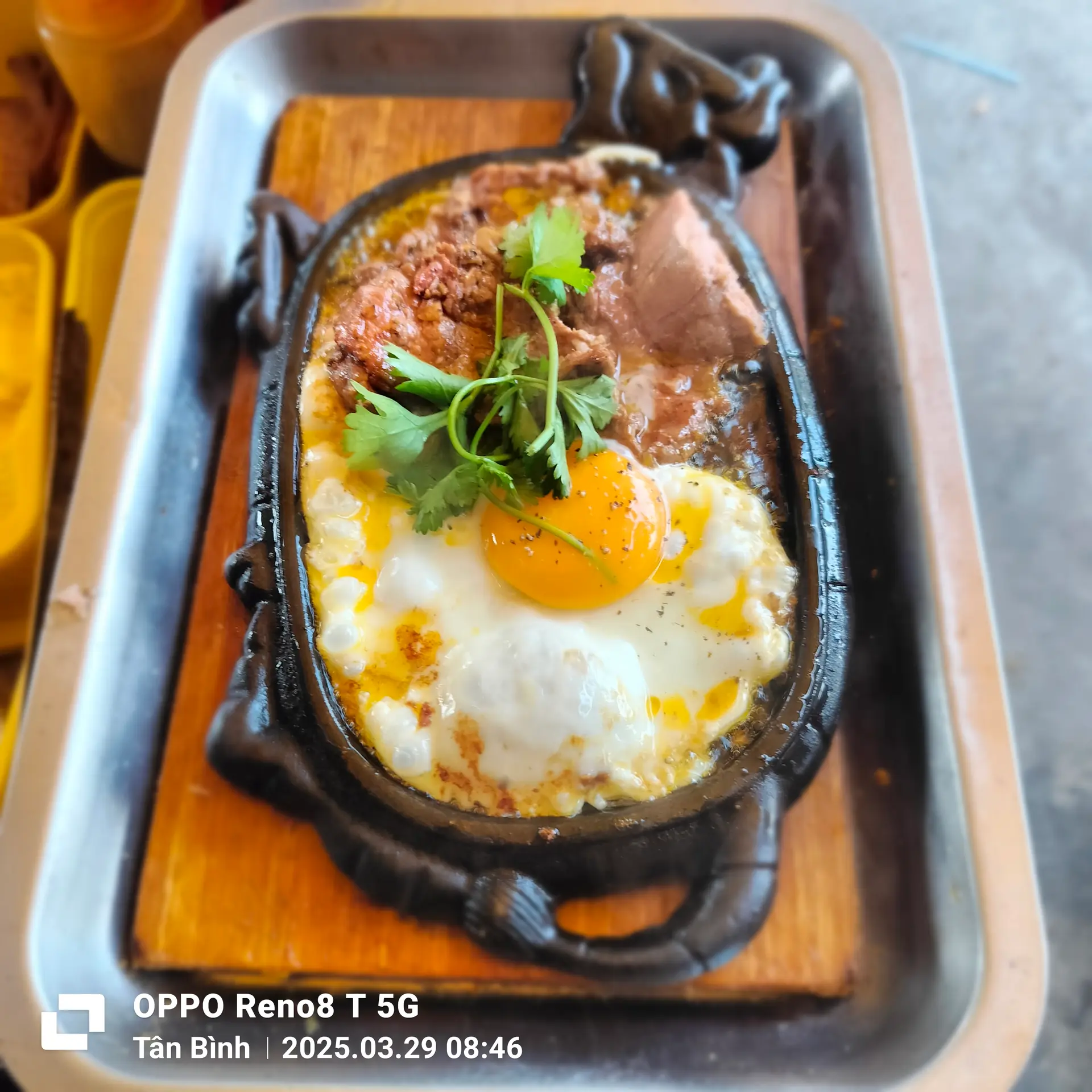Hình ảnh bò né số 1 
