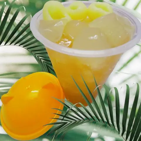 Hình ảnh Nước Long Nhãn (Có 5 Nhãn Tươi) (700ml)