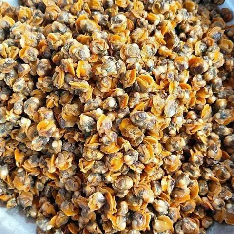 Hình ảnh Ruột Sò Huyết 500g