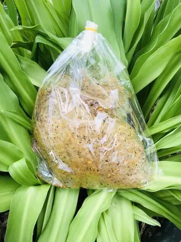 Hình ảnh Bánh Tráng Trộn Rong biển 