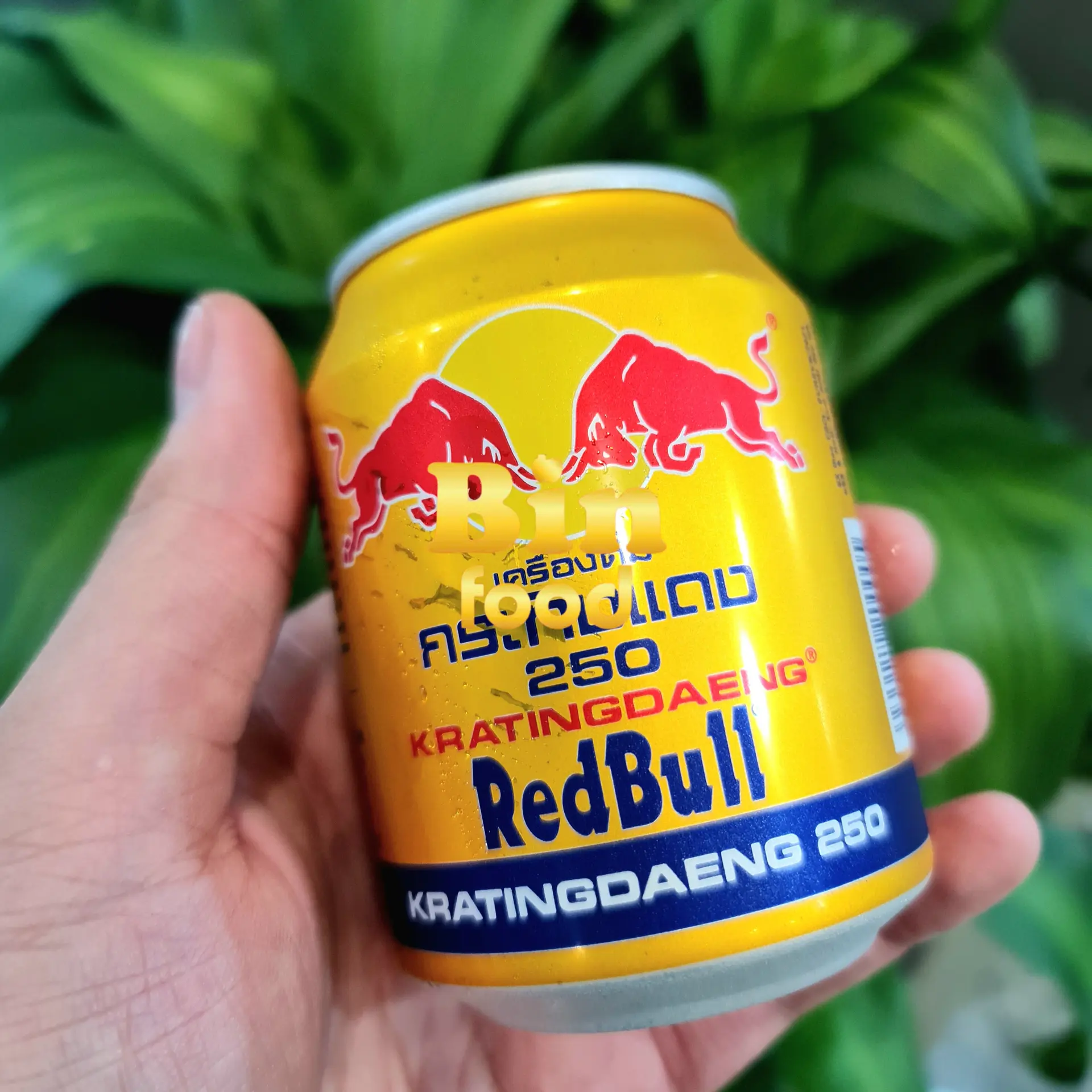 Hình ảnh RedBull