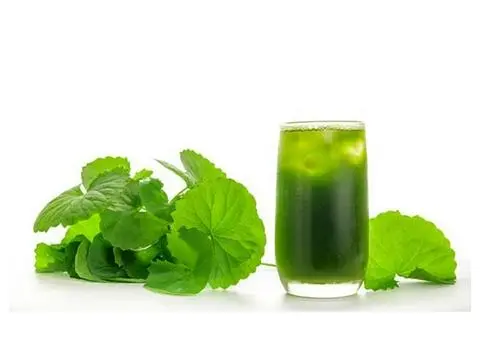 Hình ảnh Rau má đường