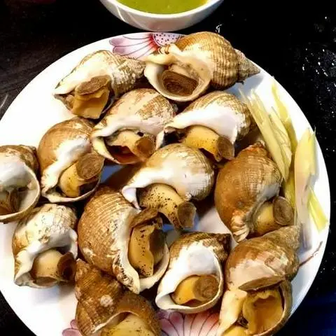 Hình ảnh Ốc bulot pháp hấp