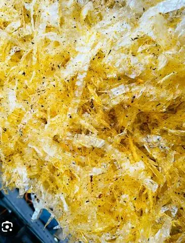 Hình ảnh bánh trán rong biển 