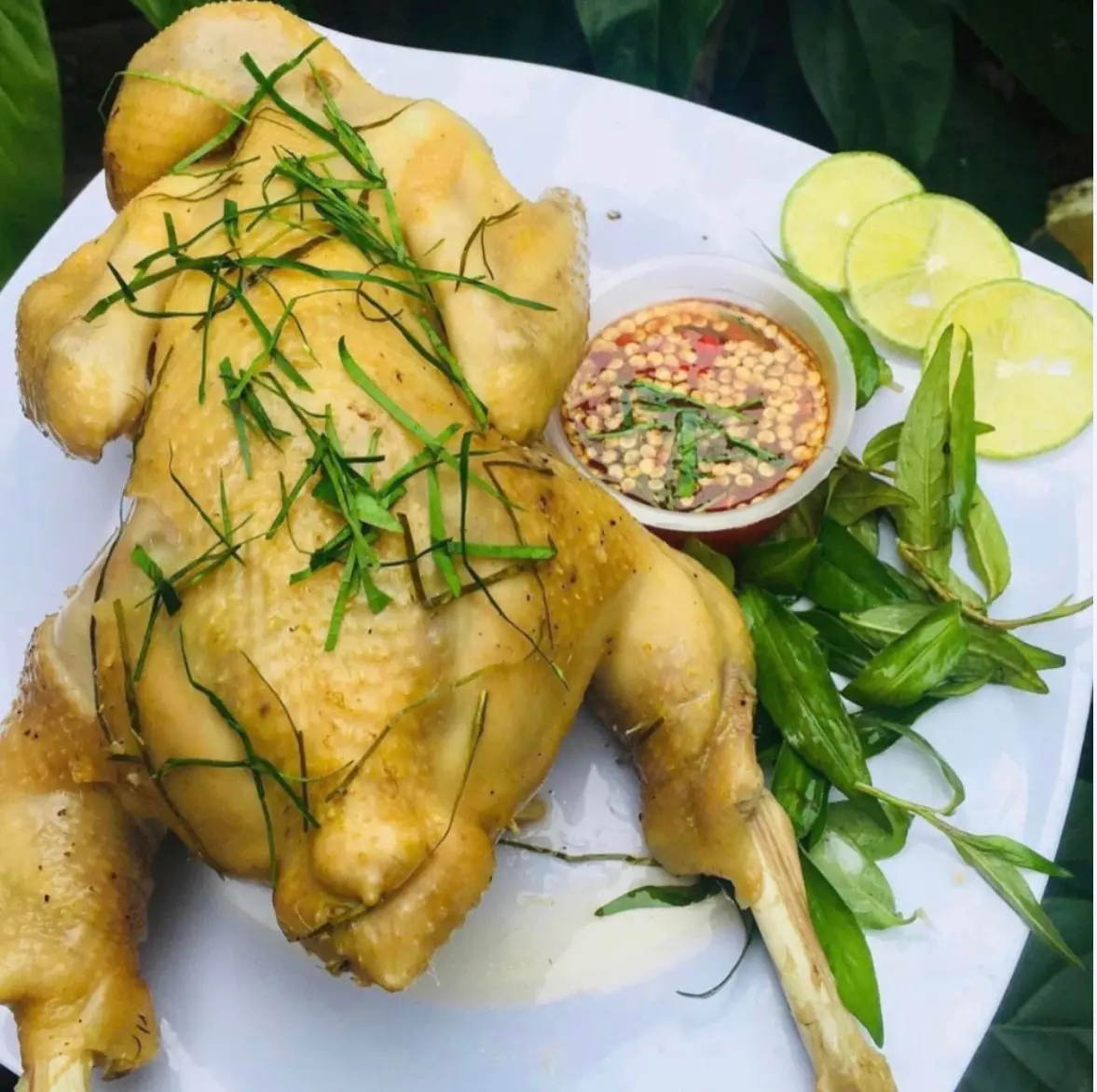 Hình ảnh Gà Tre Hấp Hành - Nhỏ