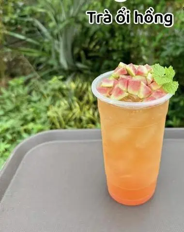 Hình ảnh trà Ổi hồng 