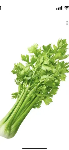 Hình ảnh Cân Tây mix Lê size to