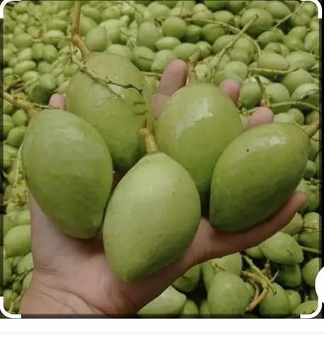 Hình ảnh Xoài non không cắt 500g 