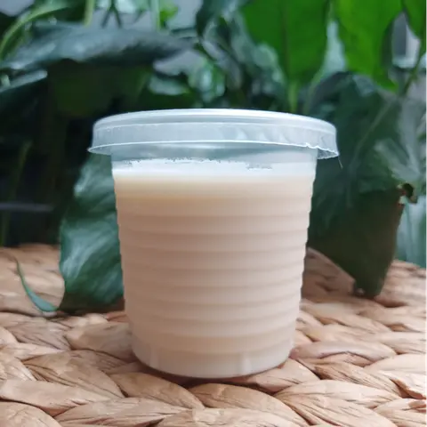 Hình ảnh Sữa chua Bulgaricus