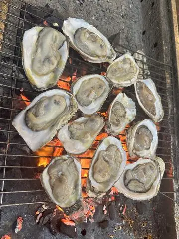 Hình ảnh Hàu