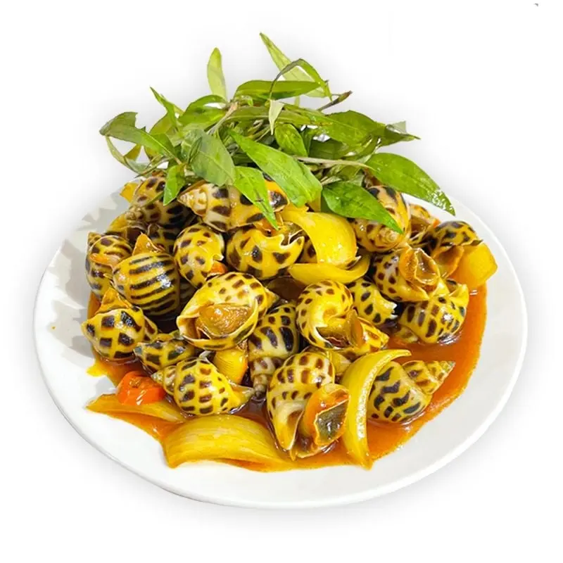 Hình ảnh ỐC HƯƠNG