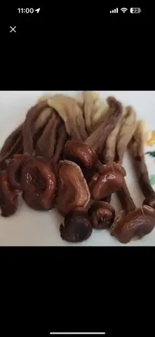 Hình ảnh Nấm lộc nhung sốt tiêu đen