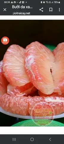 Hình ảnh Bưởi Đóng Hộp