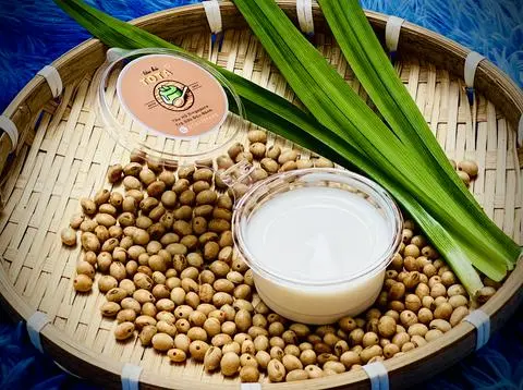 Hình ảnh Sốt Sữa ToTa