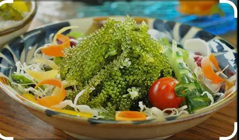 Hình ảnh Salad rong nho
