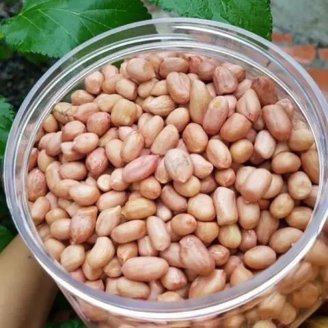 Hình ảnh Đậu Phộng Trắng