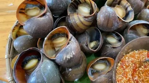 Hình ảnh Ốc lác hấp xả