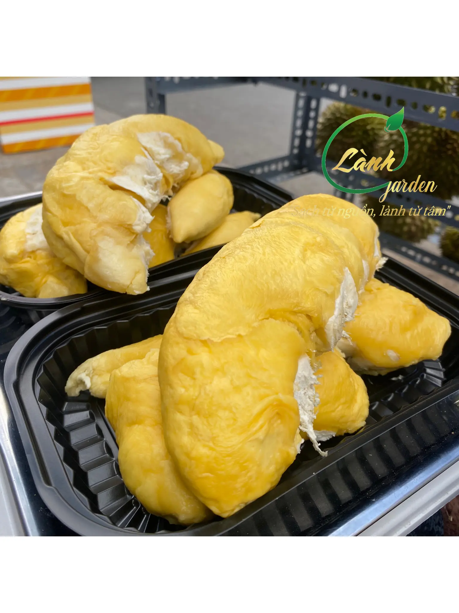 Hình ảnh Cơm sầu riêng liền 1KG
