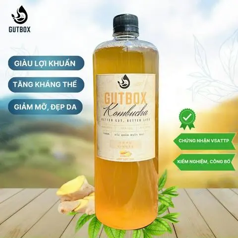 Hình ảnh 1 LÍT KOMBUCHA GỪNG 
